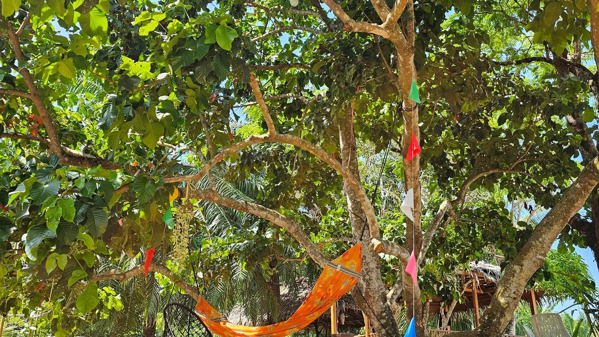 Bed & Breakfast Rommai Forest Bungalows Ko Lanta Thailand