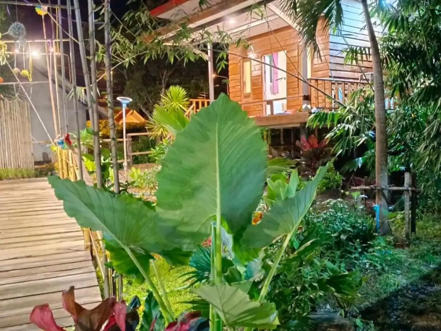 Oda ve Kahvaltı Rommai Forest Bungalows Ko Lanta